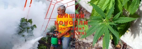 каннабис Абинск