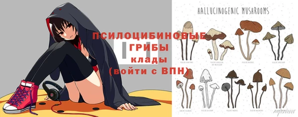 ПСИЛОЦИБИНОВЫЕ ГРИБЫ Абаза