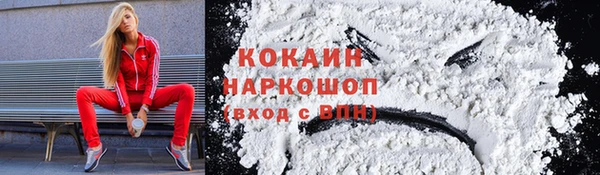 ПСИЛОЦИБИНОВЫЕ ГРИБЫ Абаза