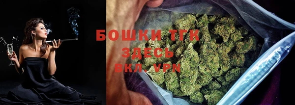 ПСИЛОЦИБИНОВЫЕ ГРИБЫ Абаза